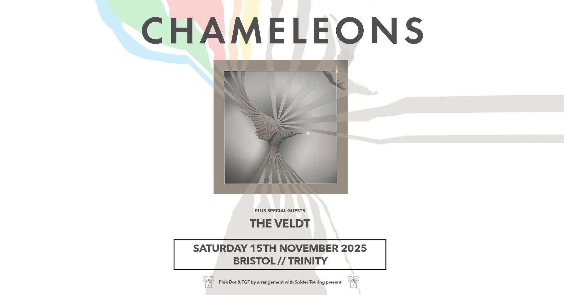 Event poster for the Chameleons concert featuring The Veldt, scheduled for Saturday, November 15th, 2025, at Trinity in Bristol, with special guests. The poster features a stylized image of a hummingbird in gray tones with rays emanating from it, sur