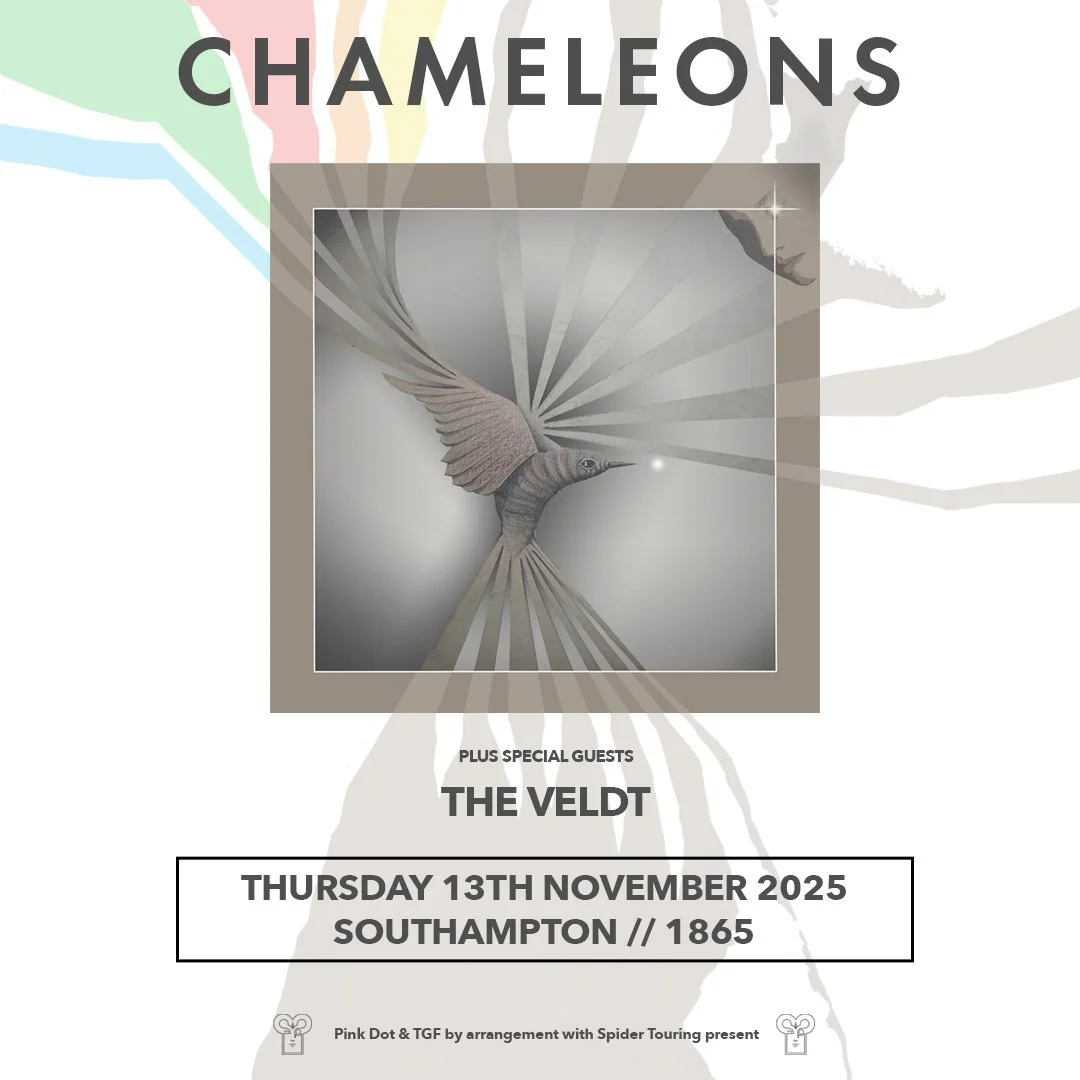 Poster for a music event featuring the band 'Chameleons' and special guest 'The Veldt' on Thursday, November 13th, 2025, at Southampton 1865, with a central image of a hummingbird emitting rays of light.