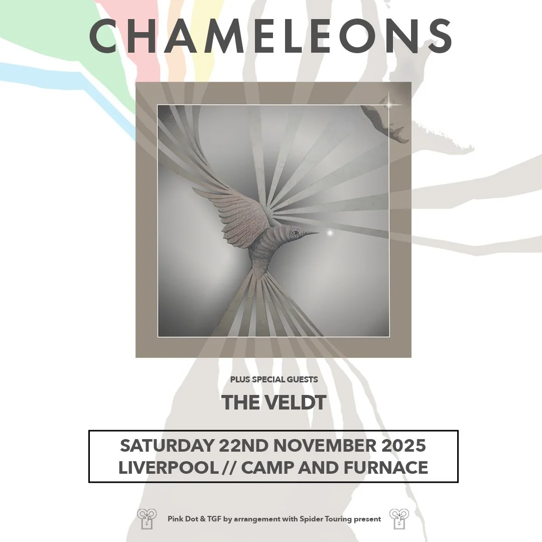 A promotional poster for a music event featuring the band Chameleons and special guest The Veldt. The event is scheduled for Saturday, November 22, 2025, in Liverpool at Camp and Furnace. The poster has a central image of a stylized hummingbird with 