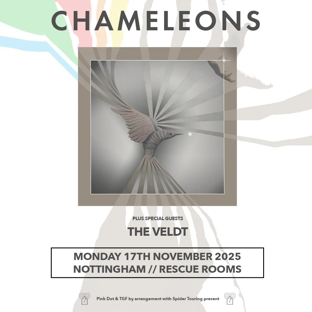 Promotional poster for a music event featuring the band Chameleons and special guest The Veldt, scheduled for Monday, November 17th, 2025 at Nottingham Rescue Rooms, with a central image of a hummingbird in shades of gray and white.