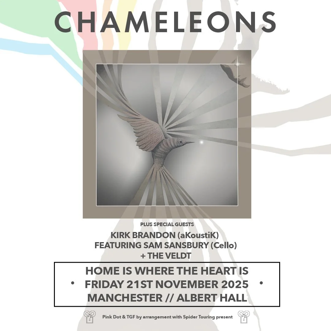 Event poster for a Chameleons concert featuring special guests Kirk Brandon, Sam Sansbury, and The Veldt on Friday, November 21, 2025, at Albert Hall in Manchester. The poster has illustrations of a hummingbird and radiating lines, with details about