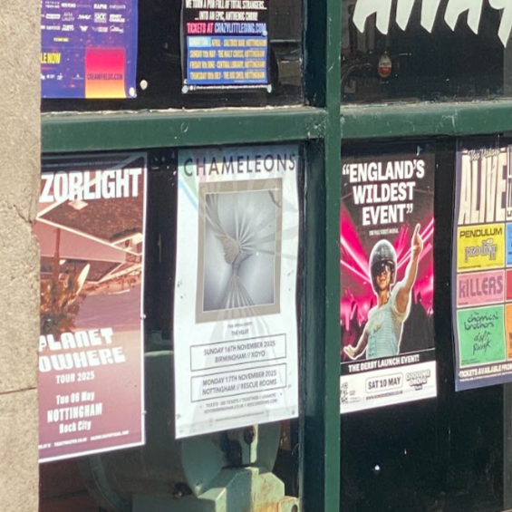 Collection of posters on a green window frame, including one with a spiral chameleon illustration, and others advertising events like Zorluight, England's Wildest Event, and a band named Pendulum.