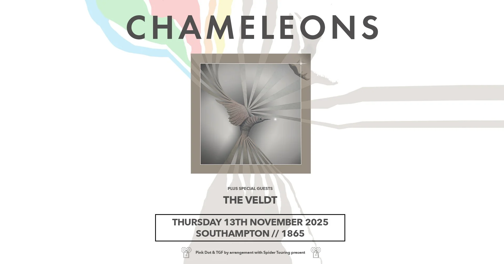 Event poster for a concert titled 'Chameleons' with special guest 'The Veldt,' scheduled for Thursday, November 13th, 2025, at Southampton 1865. The poster features a stylized image of a hummingbird with elongated tail feathers and light rays emanati