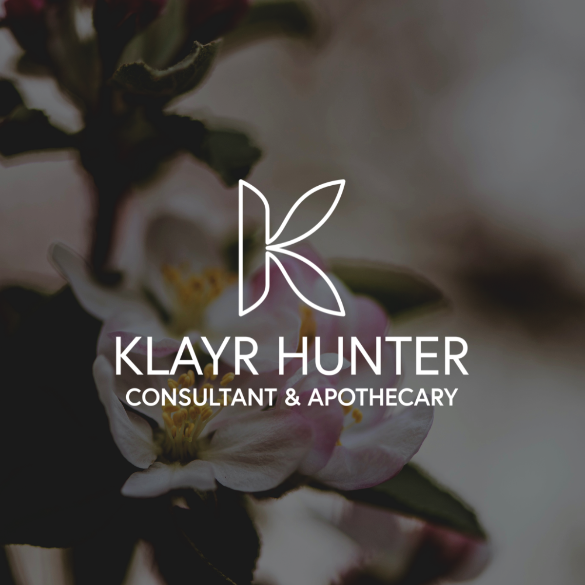 Natural Support for PMS, Perimenopause &amp; Menopause