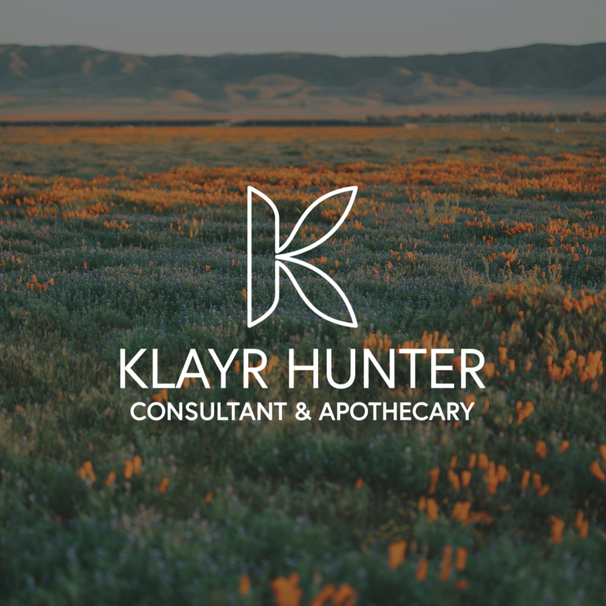 Endocrine Disruptors in the Home: How to Reduce Your Daily Exposure