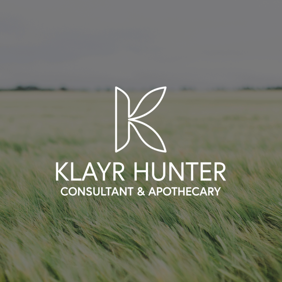 Tired All the Time? How Herbal Medicine Can Help with Fatigue and Burnout