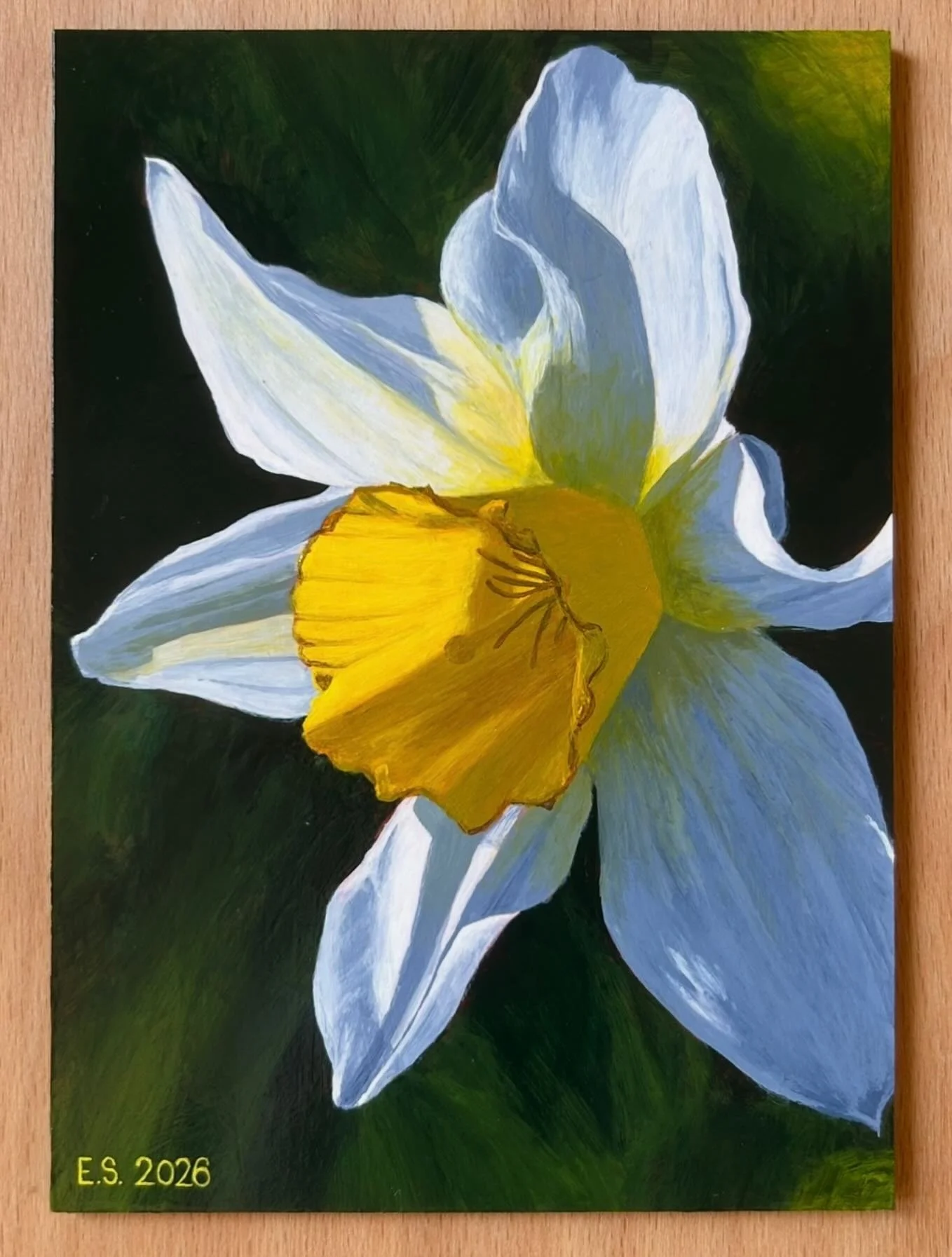 I&rsquo;m so excited to finally share this painting with you guys! I hope it feels as light and fresh to you as it does to me. The painting in my previous post was the &lsquo;practice version&rsquo; of this one!

#daffodilseason #daffodilart #calming
