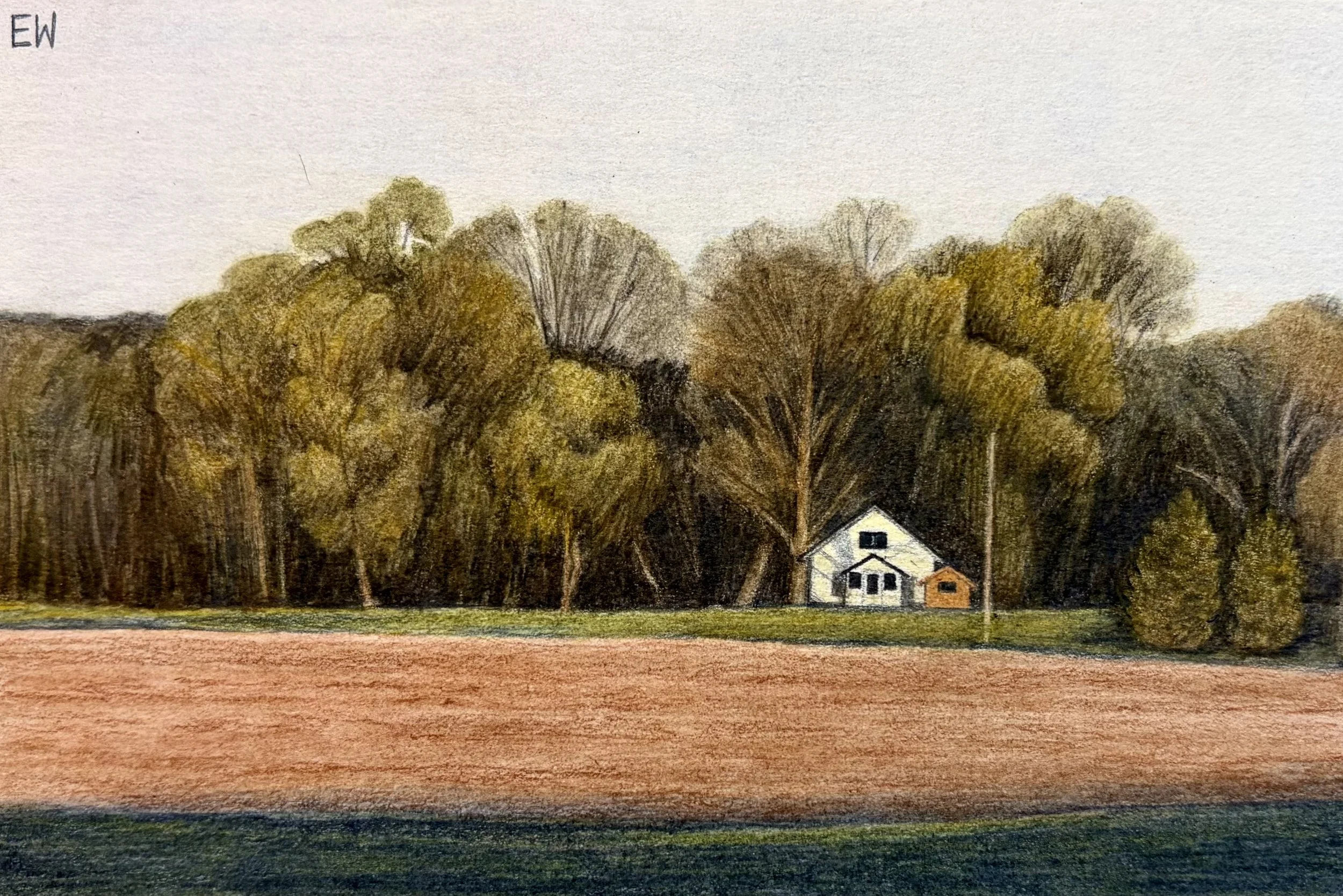 Out the Back Window, colored pencil on paper, 6x4".