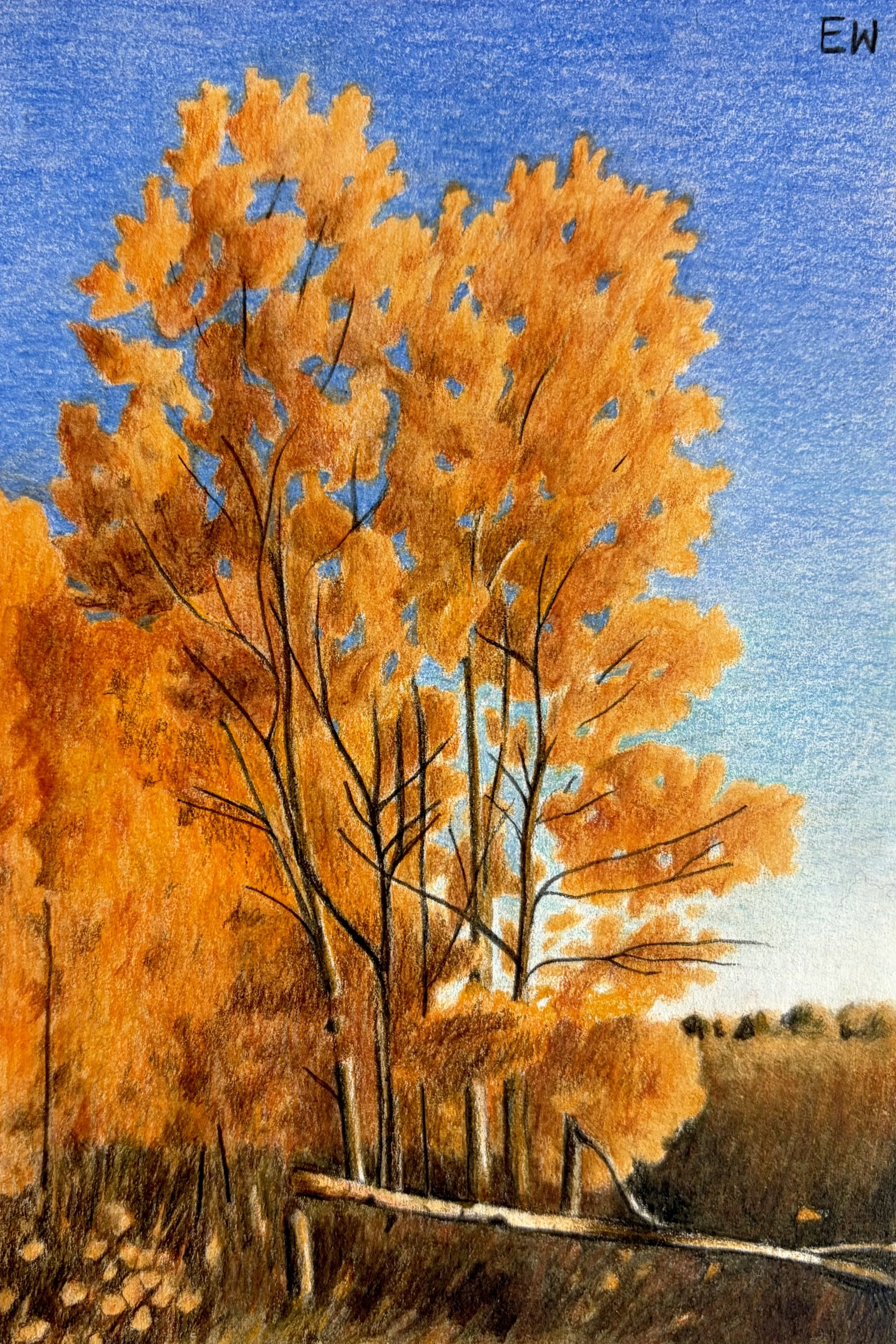 October Walk, colored pencil on paper, 4x6".