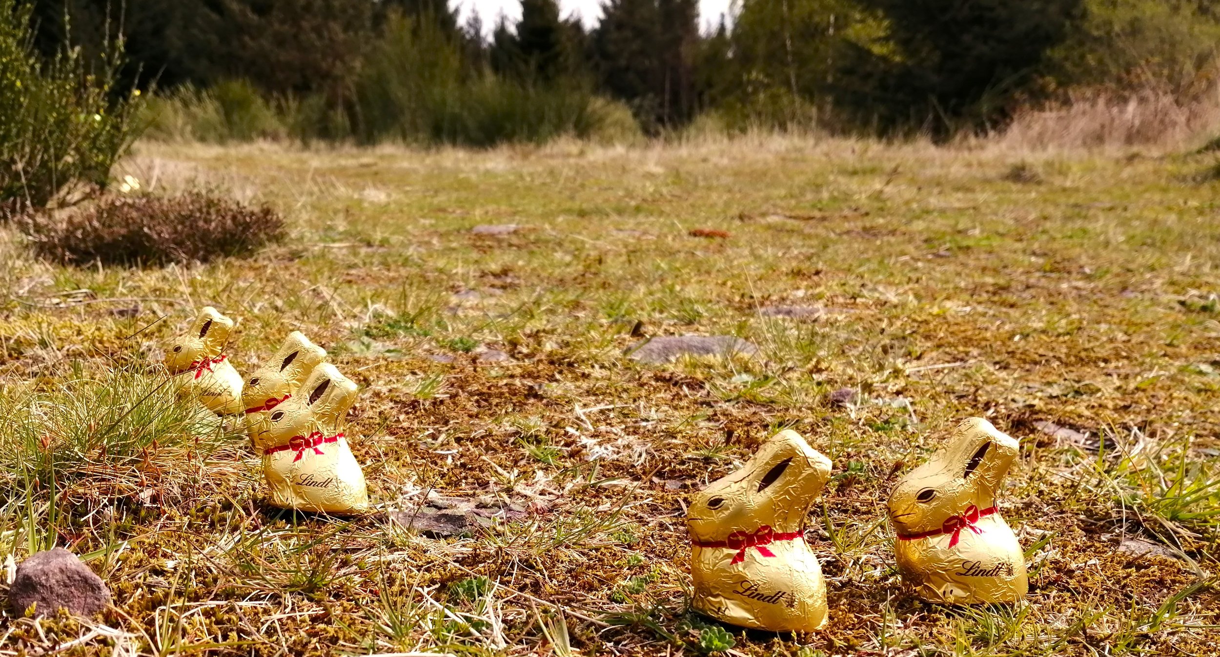 Happy Easter.