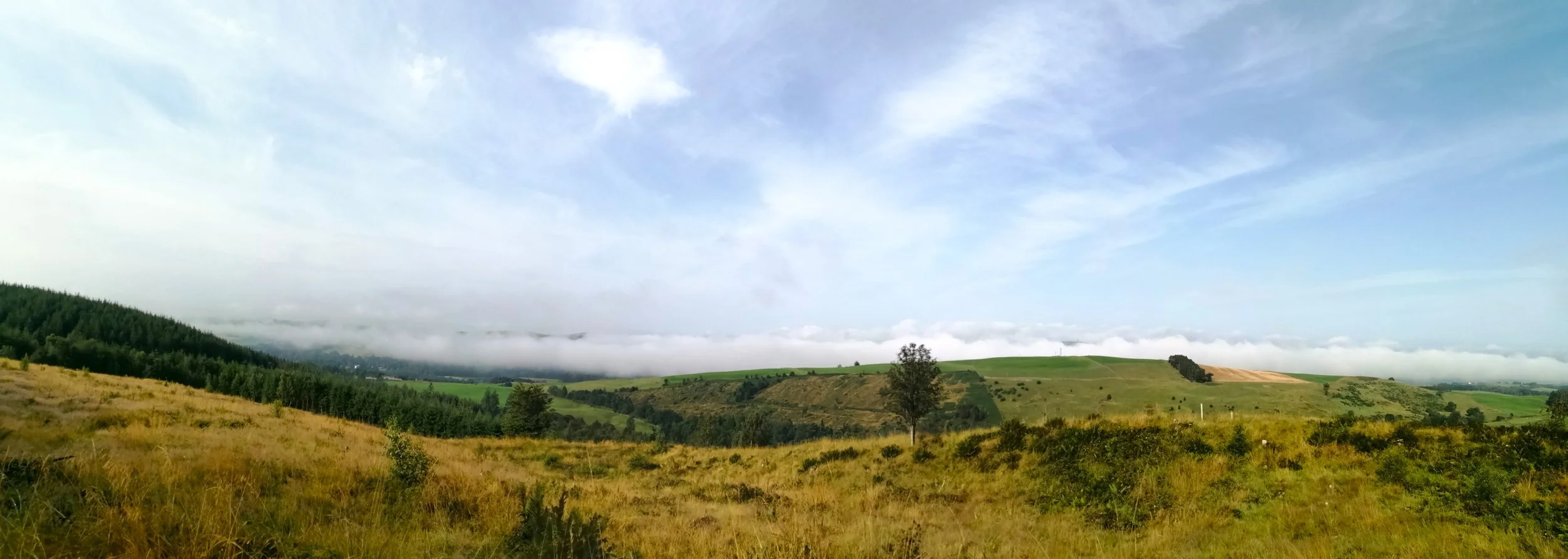 Wonderful August Morings