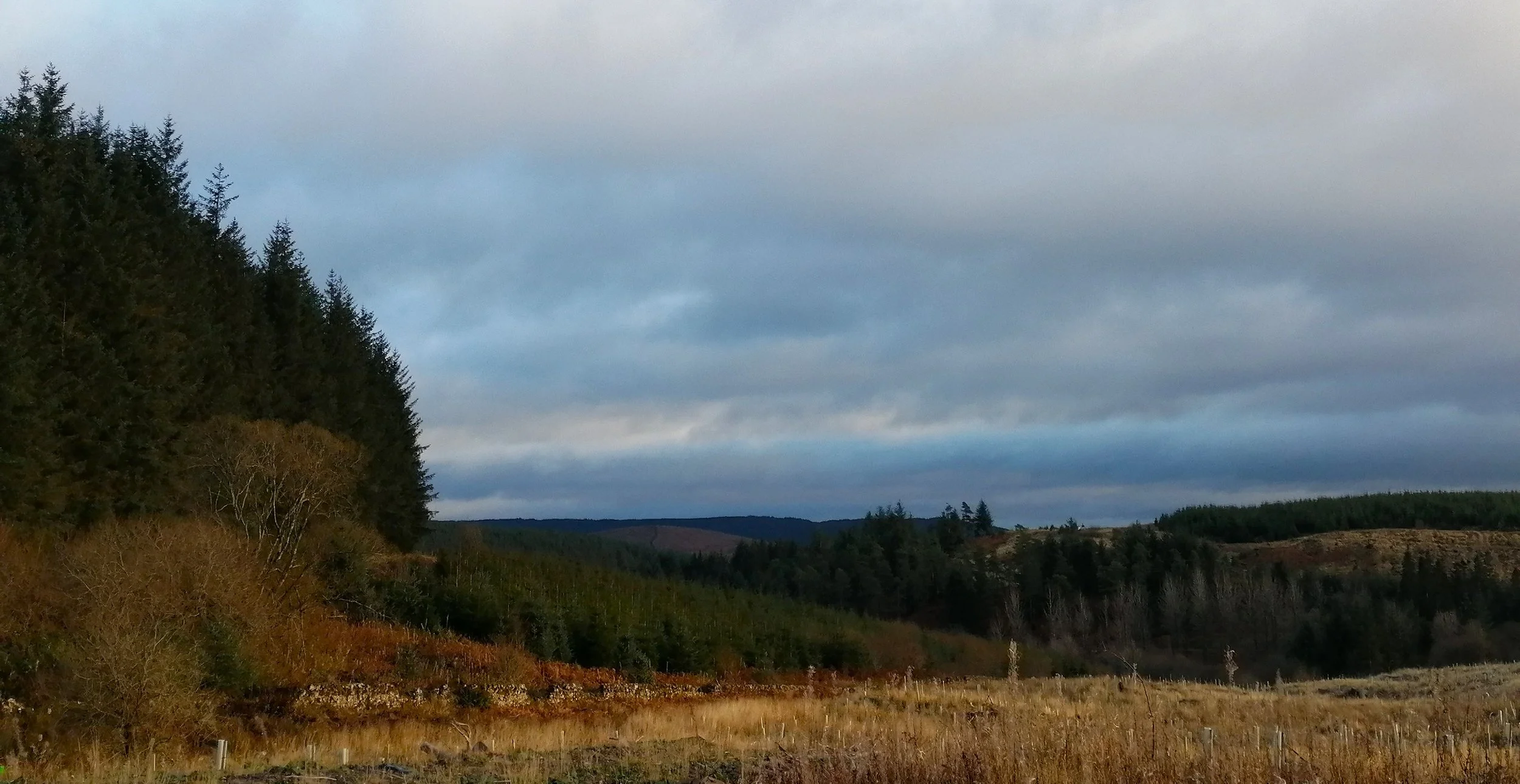 Getting ready to say goodbye to January.