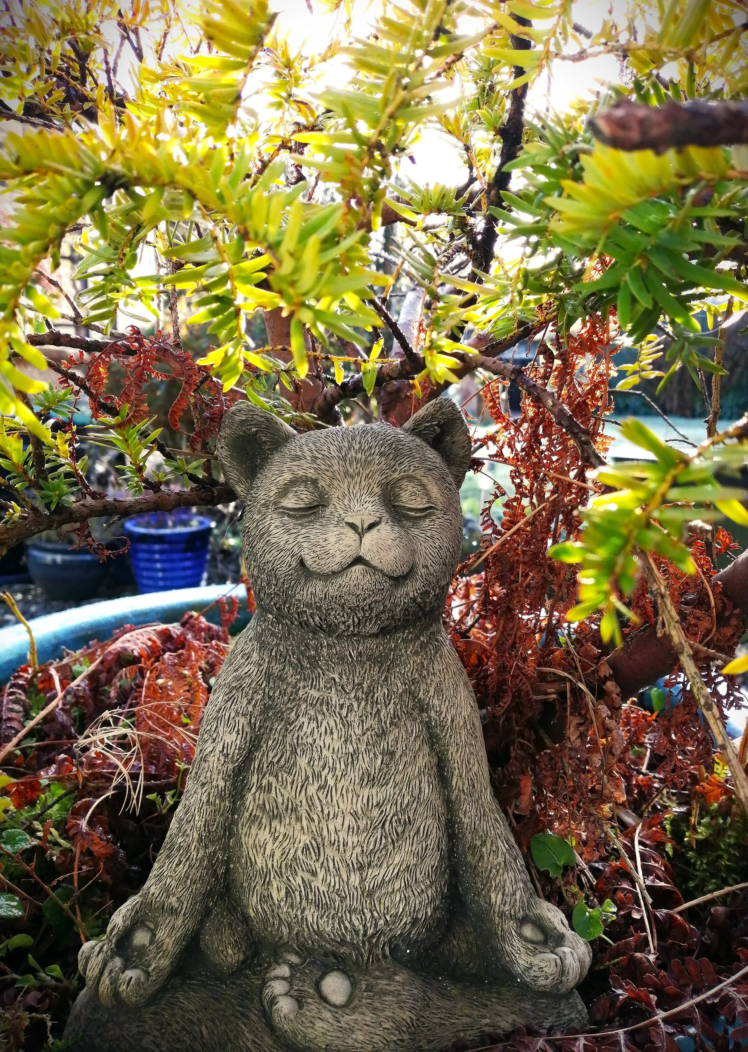 A beautiful time of year.