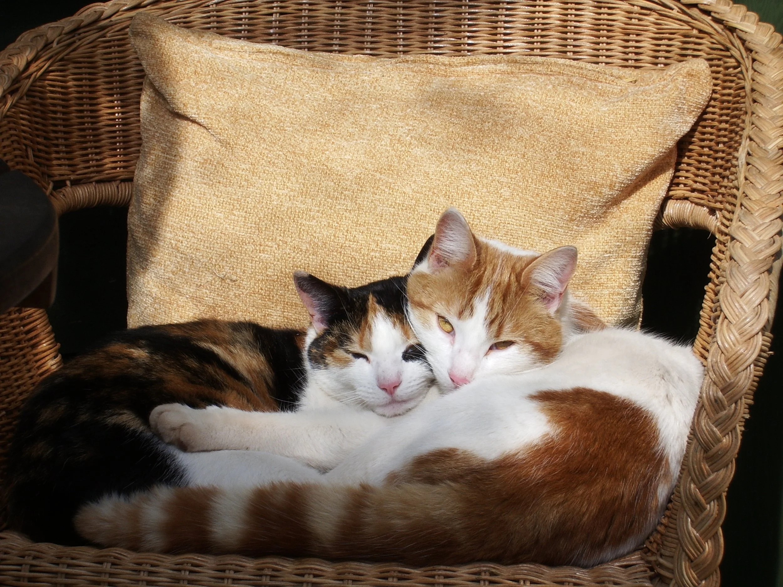 Sailing Through Blissful April