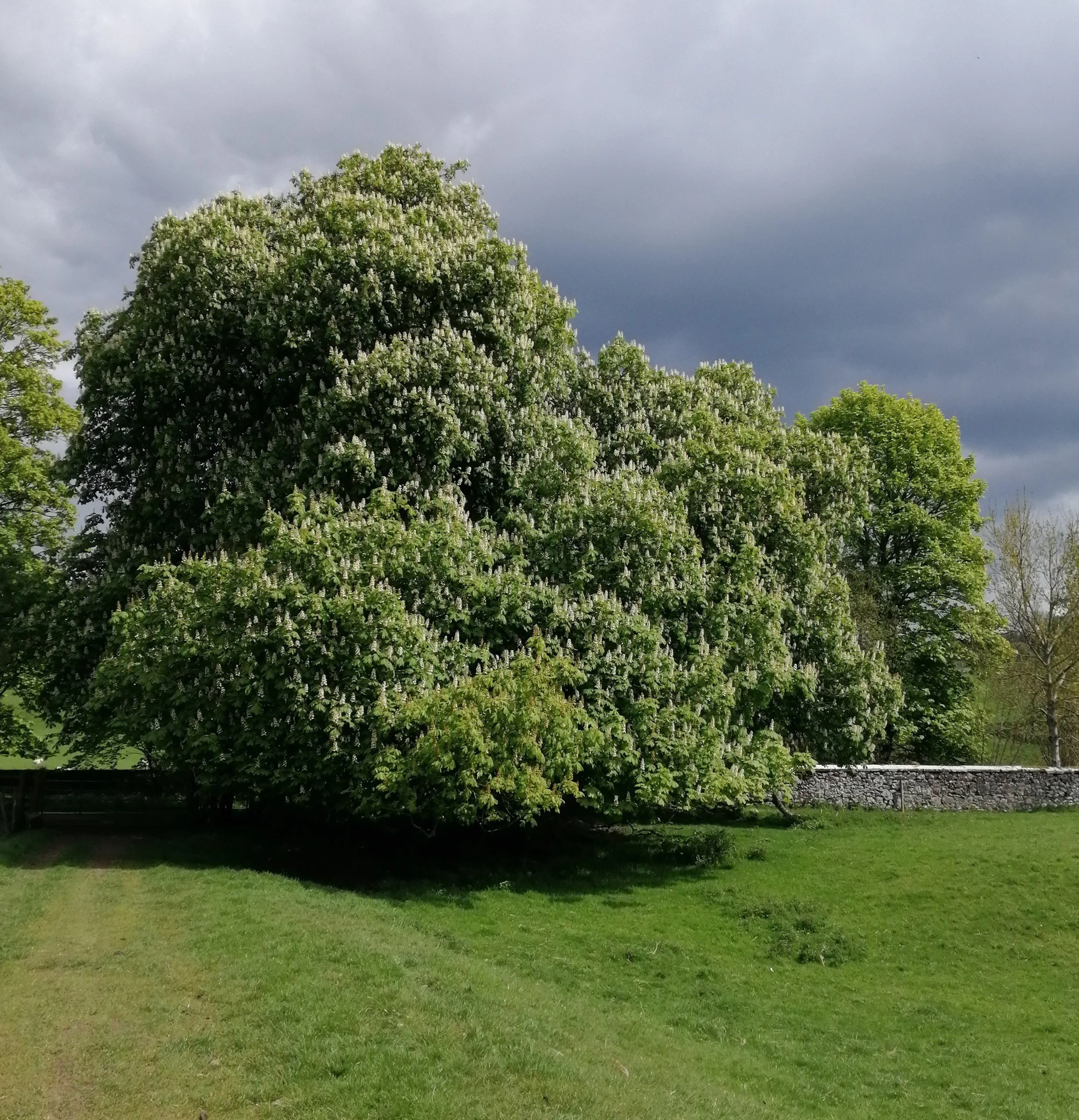 An Outlander moment Part One!