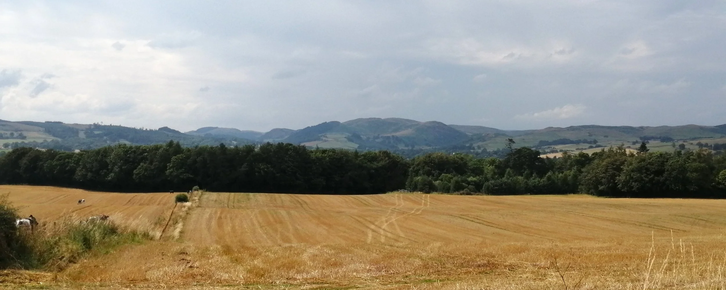 September drifted in on a cooling breeze! 