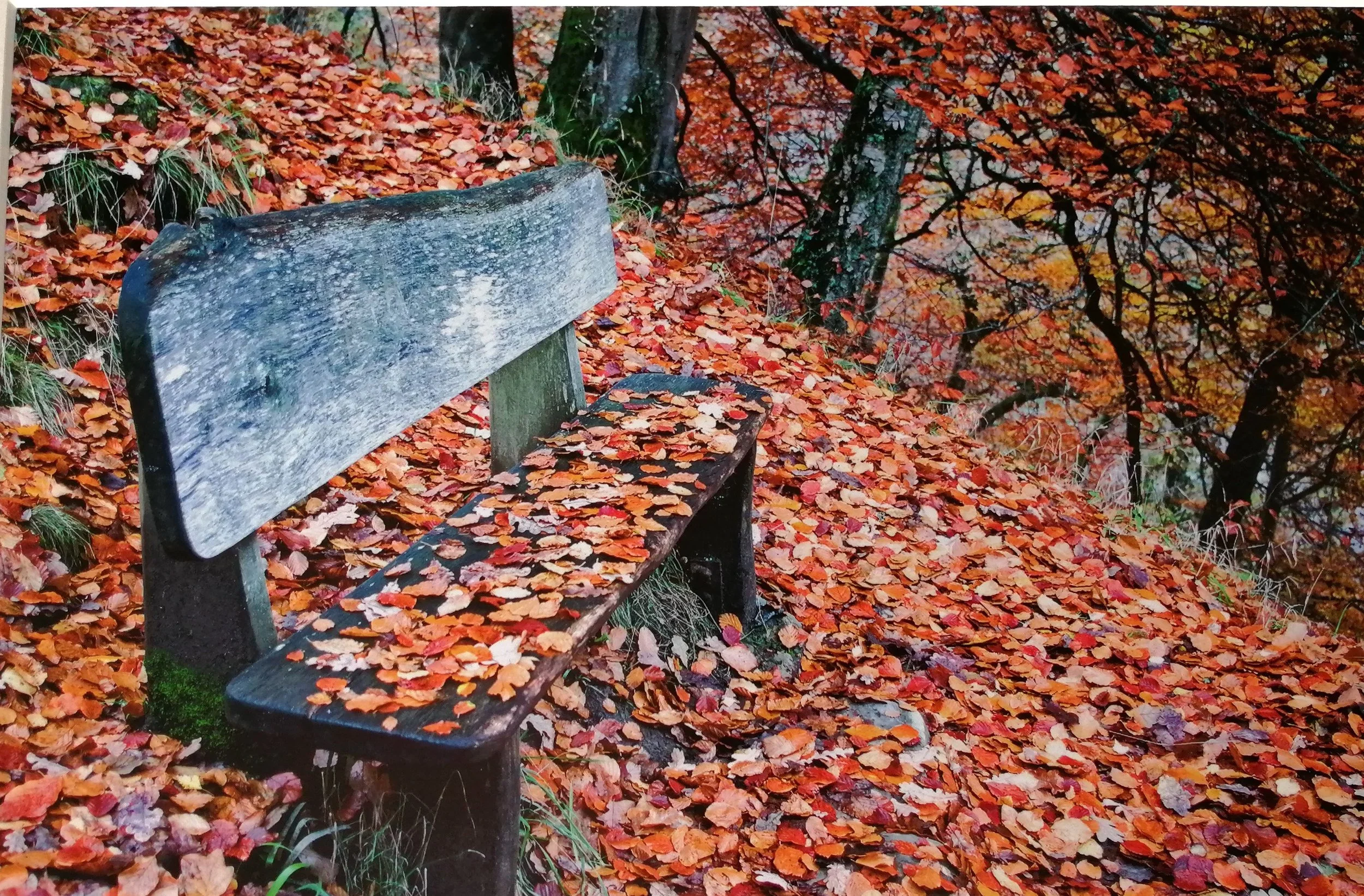 Colourful, calming transformation. 