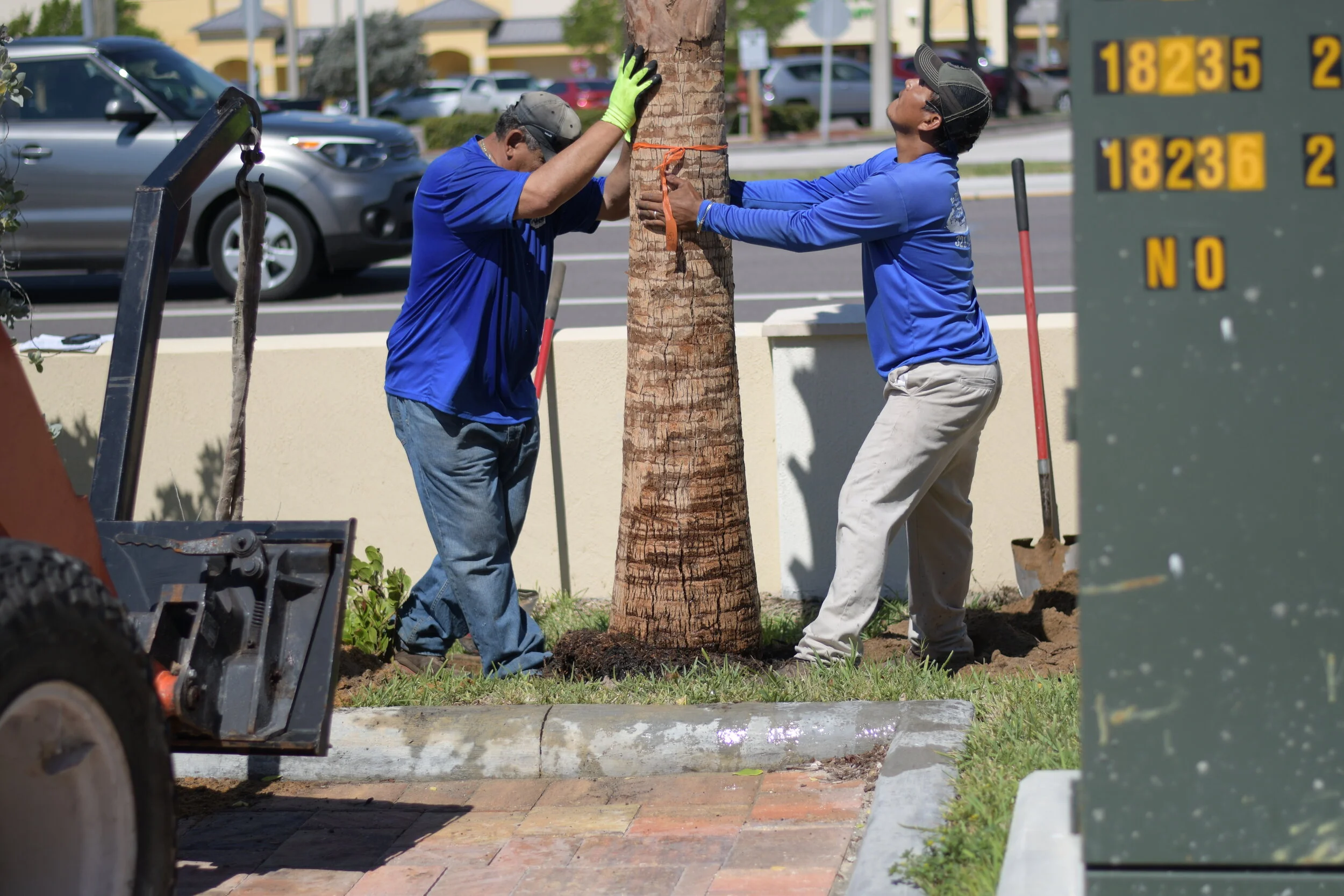 Top Notch Lawn Care — Top Notch Lawn Care