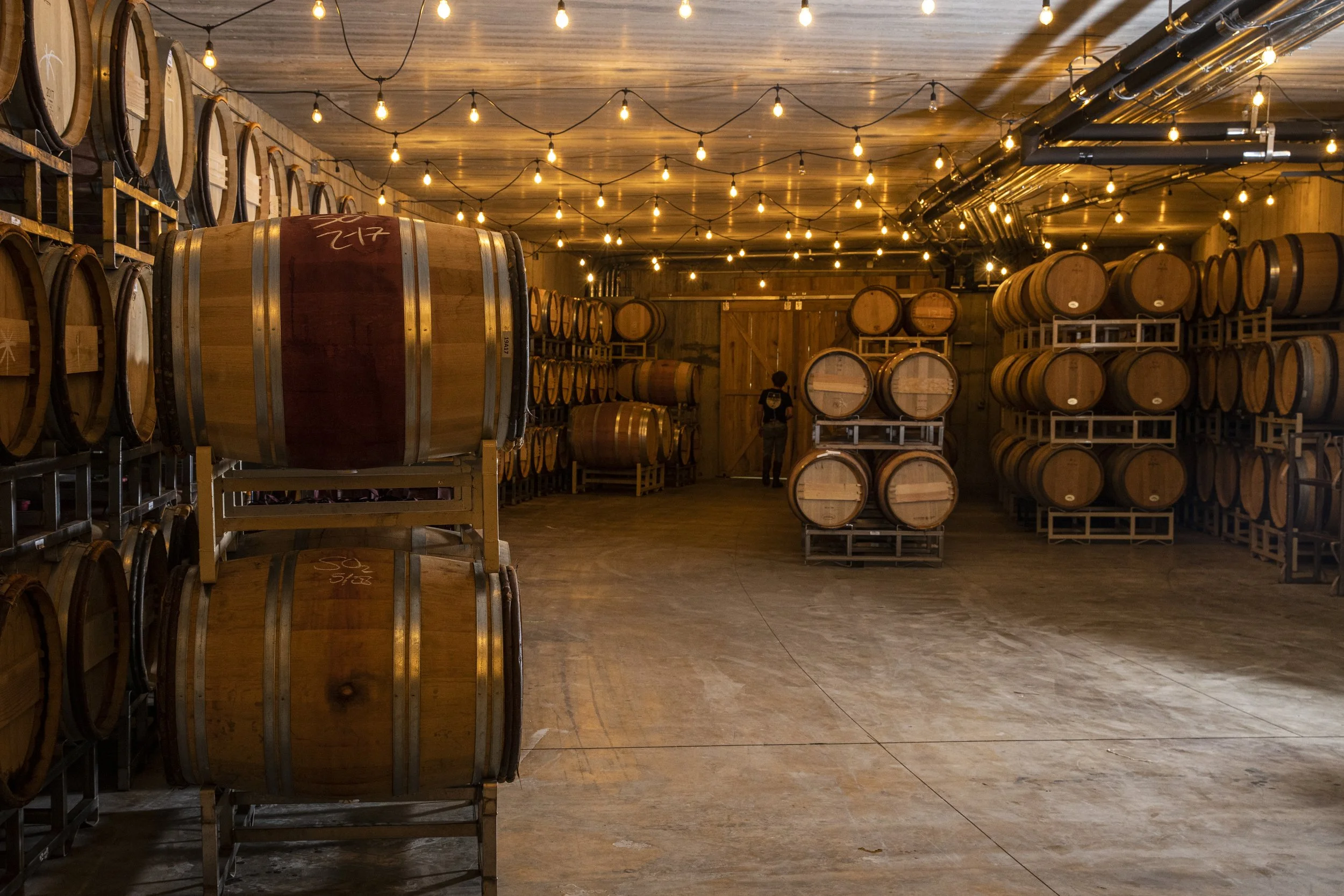 SOMMinar: Volcanic Wines