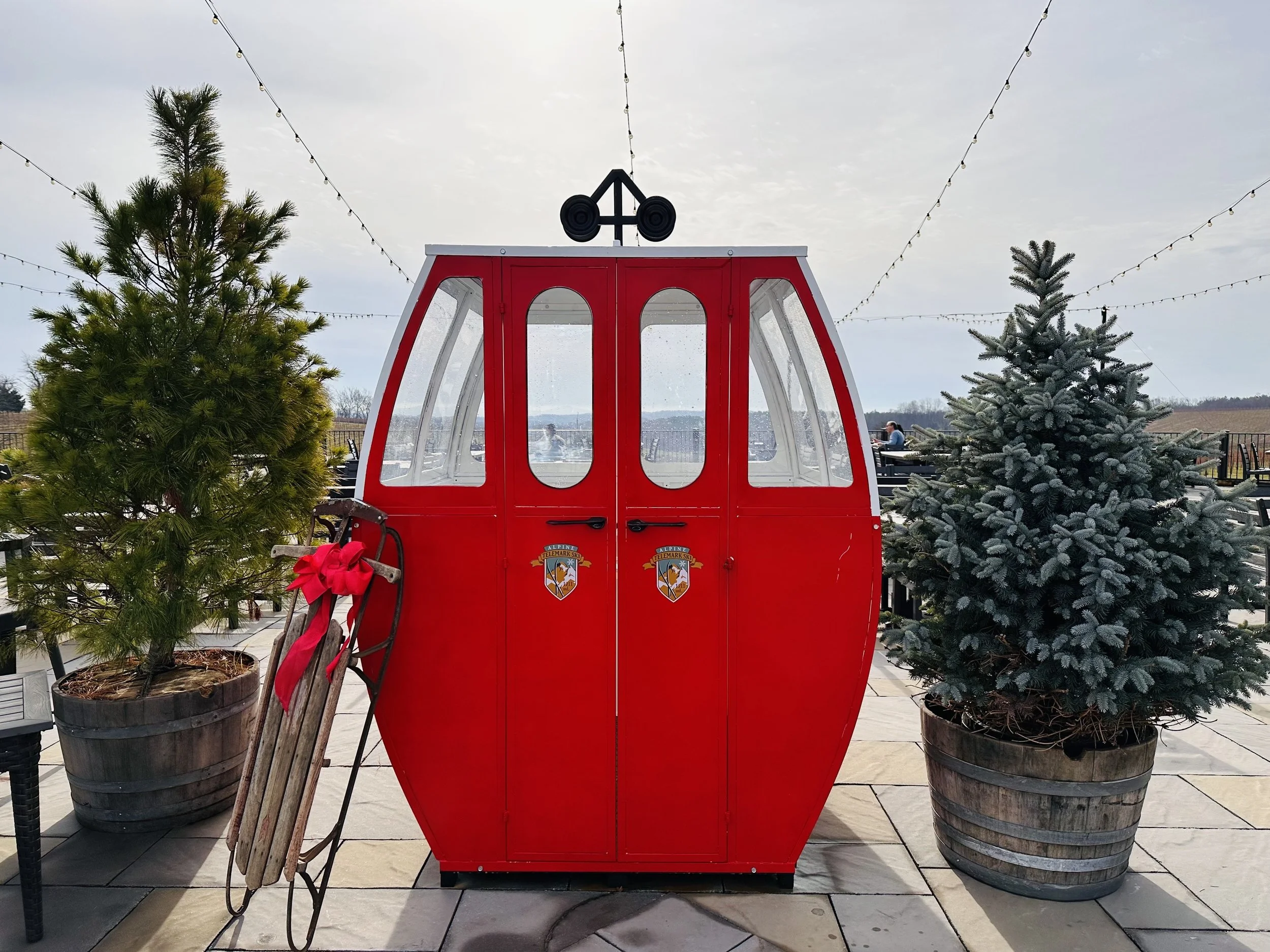 Ski Gondola Wine Flight 