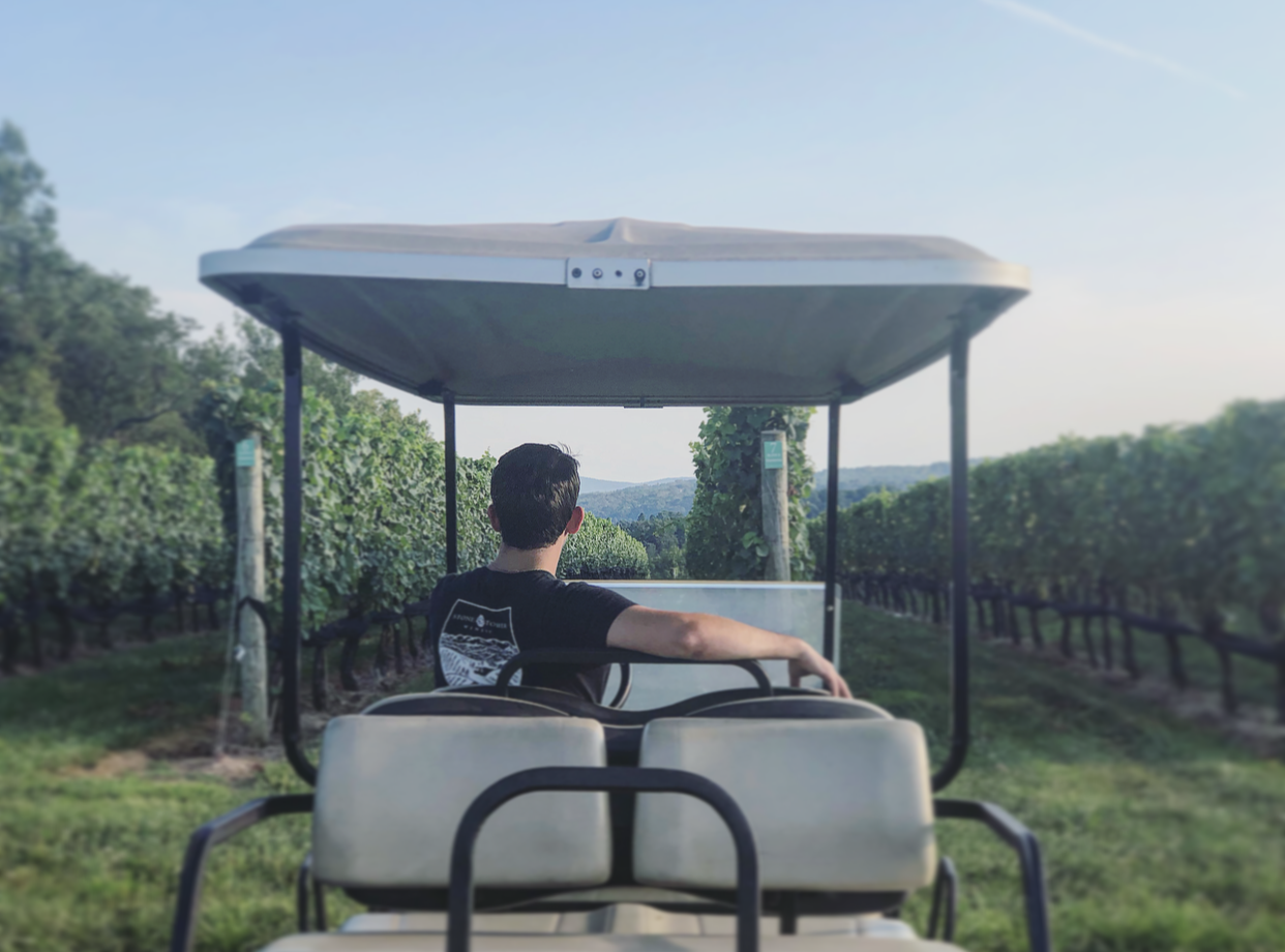 Estate Experience