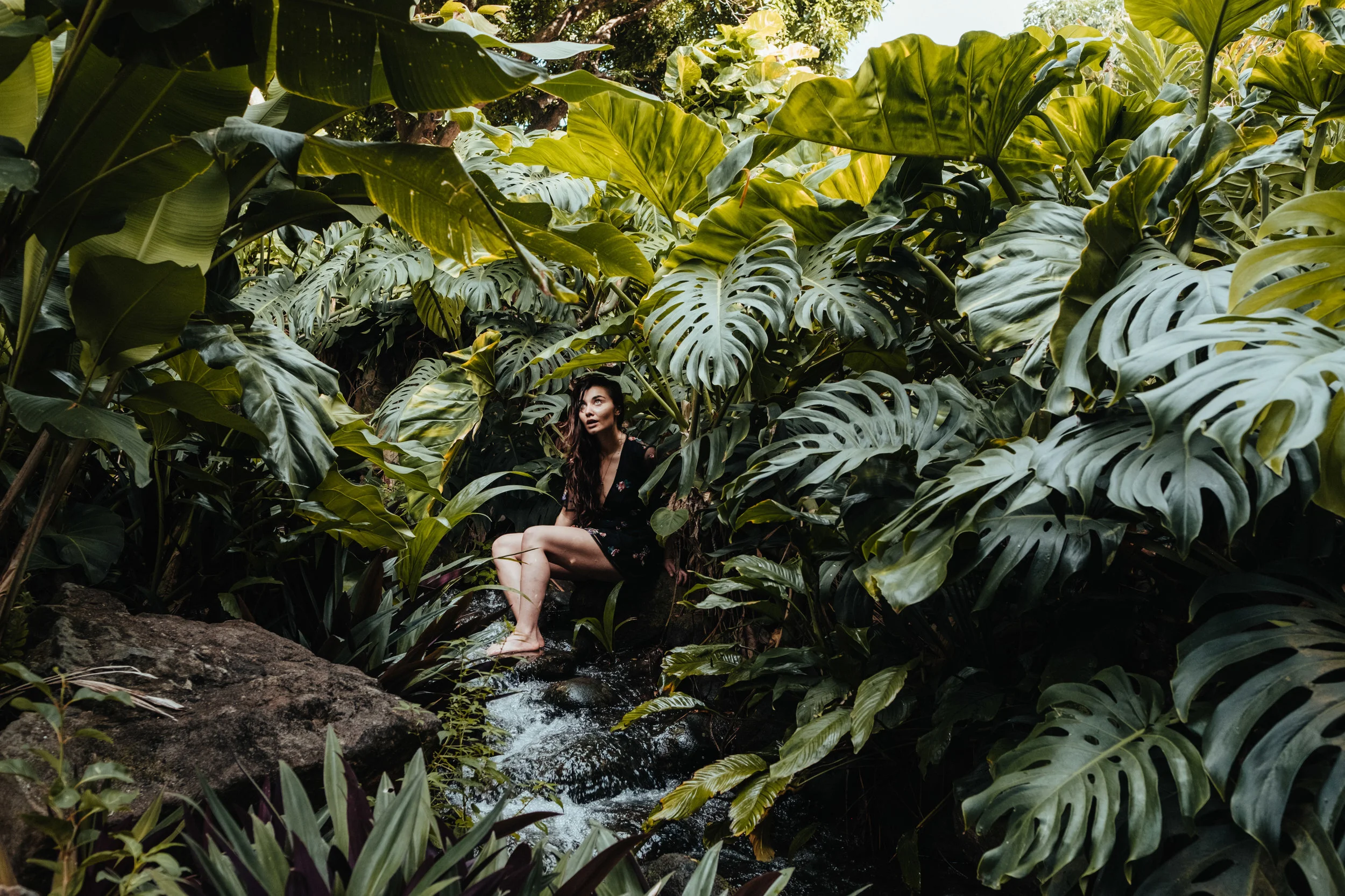 Guadeloupe-Buchowski-54.jpg