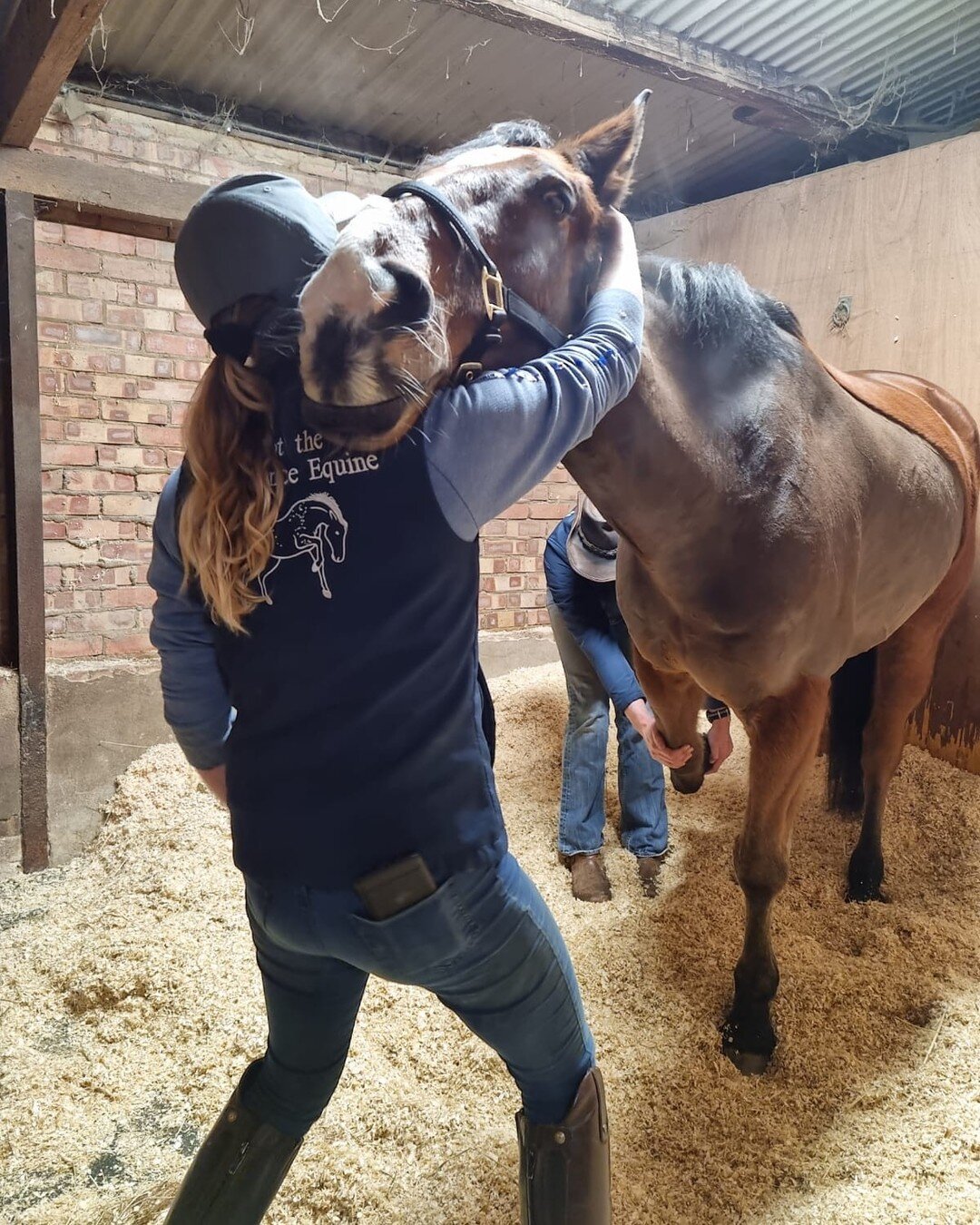 Meet the team 😁

The team at OIS keeps growing, so it seems sensible to re-introduce us all! So, one post a day for the rest of the week and we'll do just that!!

Let's begin with Freddie Spot The Difference Equine 

Freddie is our fully qualified a