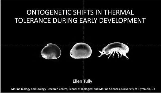 These little embryos appeared on the big screen @PlymouthMarine yesterday for #plymsef2020 . There was an excellent variety of talks from members of PML, @thembauk and @plymuni and we were very happy to be amongst them. I am proud to announce my talk