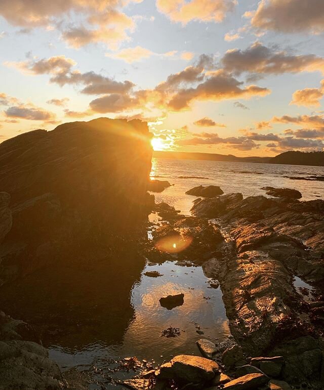 A break in the winter weather is the perfect excuse to go rock-pooling! The EmbryoPhenomics platform is capable of imageing lots of different aquatic species. We&rsquo;re always on the look out for new animals to take a look at and today we stumbled 