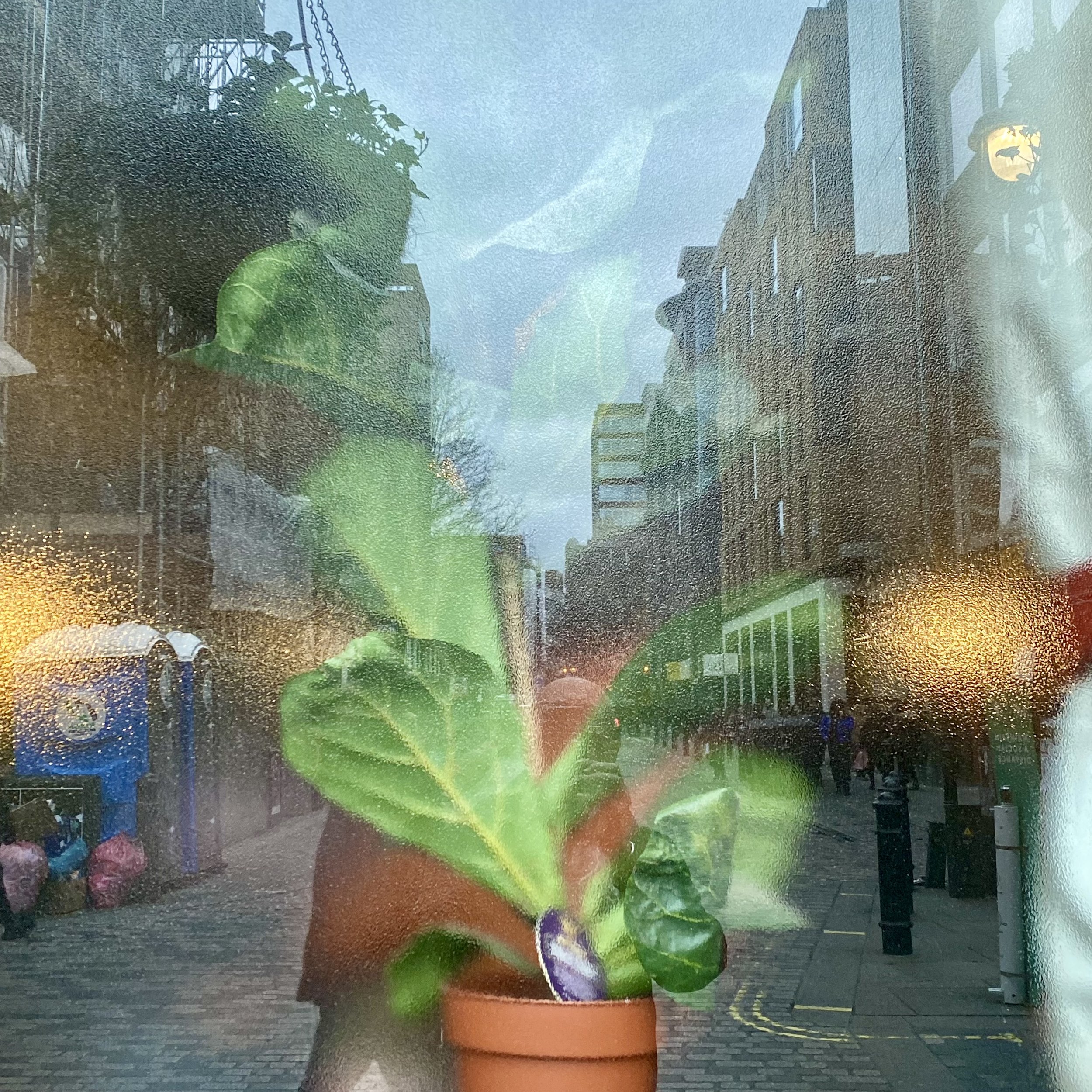 5 March 2022 Soho - London.jpg