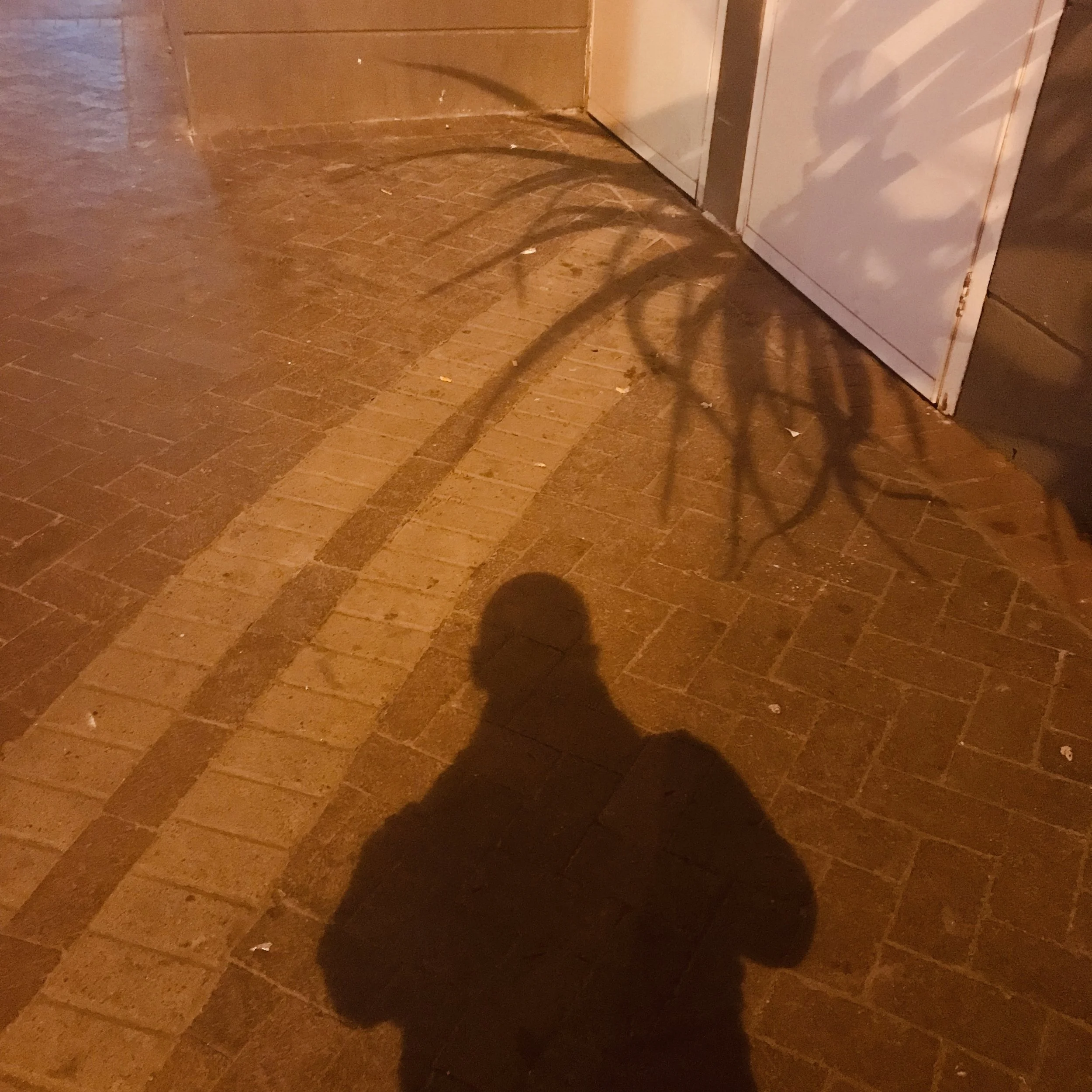 28 December 2018 Sea Point Cape Town.jpg