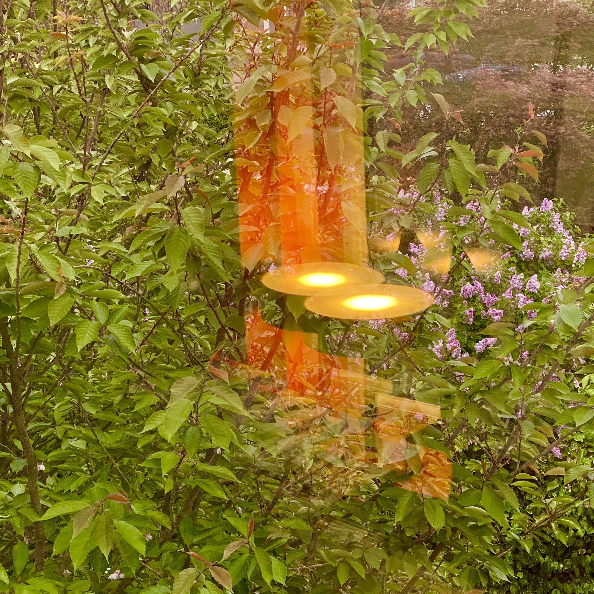 1 May 2022 Kennington - London.jpg