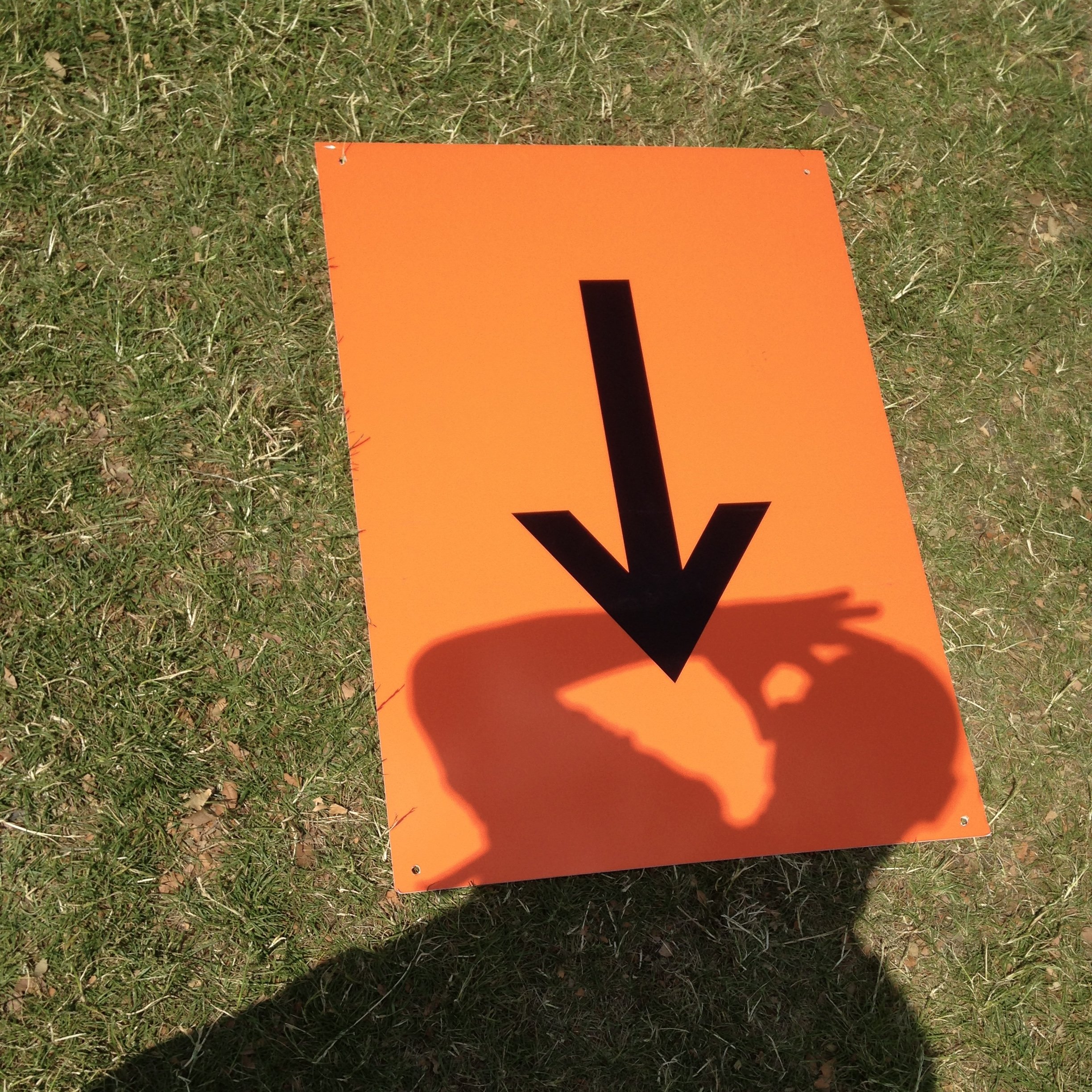 6 July 2013 London Hyde Park.jpg