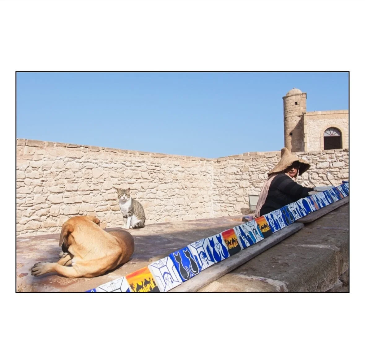 Streets of Essaouira 2025&rdquo; #essaouira #morocco  #fujifilm_xseries #xpro2  @fujifilmme  #clickwithpeople canpubphoto streetphotoreview therawsociety hcsc_street @zeinberg thephotosector natgeo natgeoyourshot thephotosector on1pics @frames_magazi