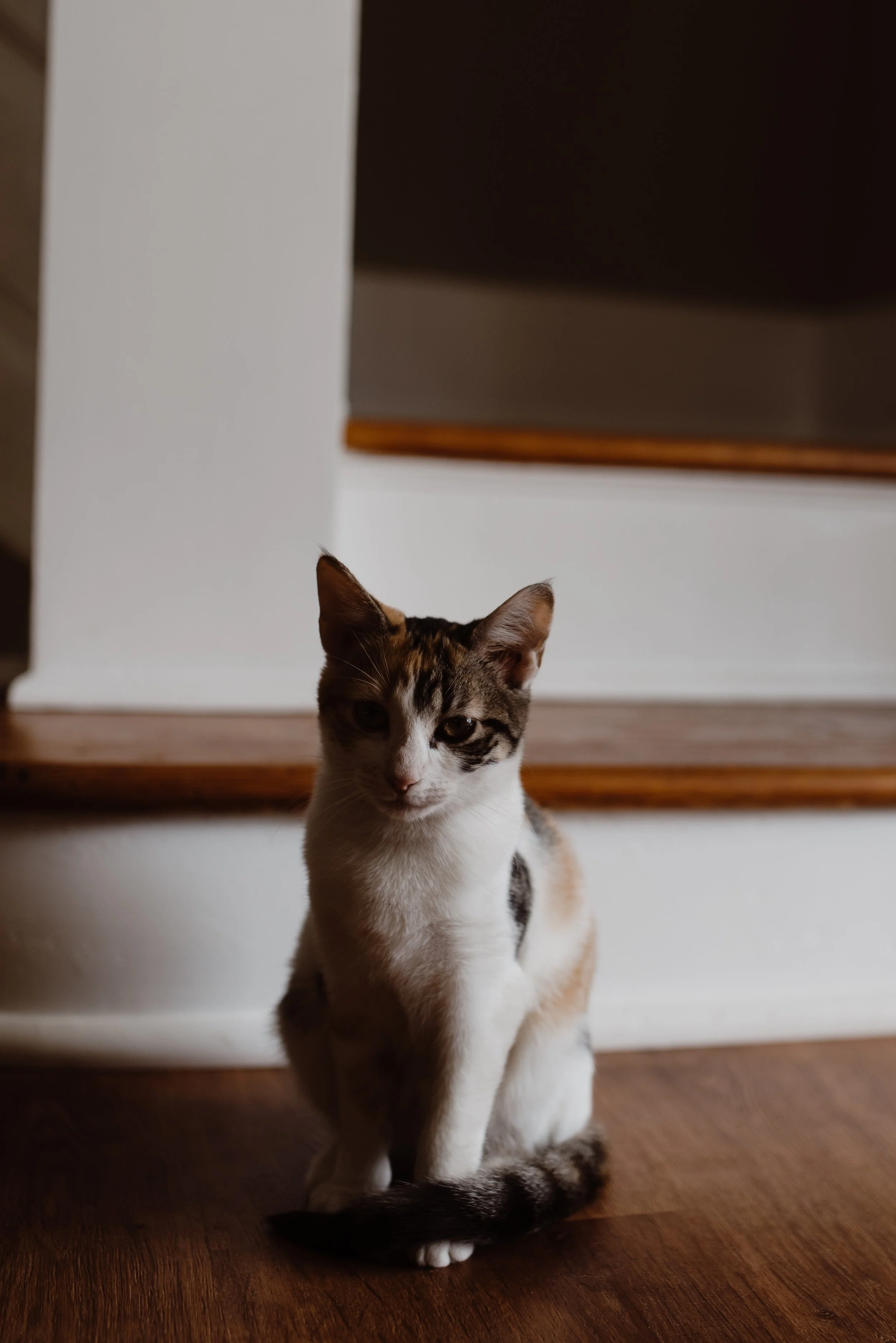 DSC_8405.jpg