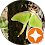 unnamed (1).png