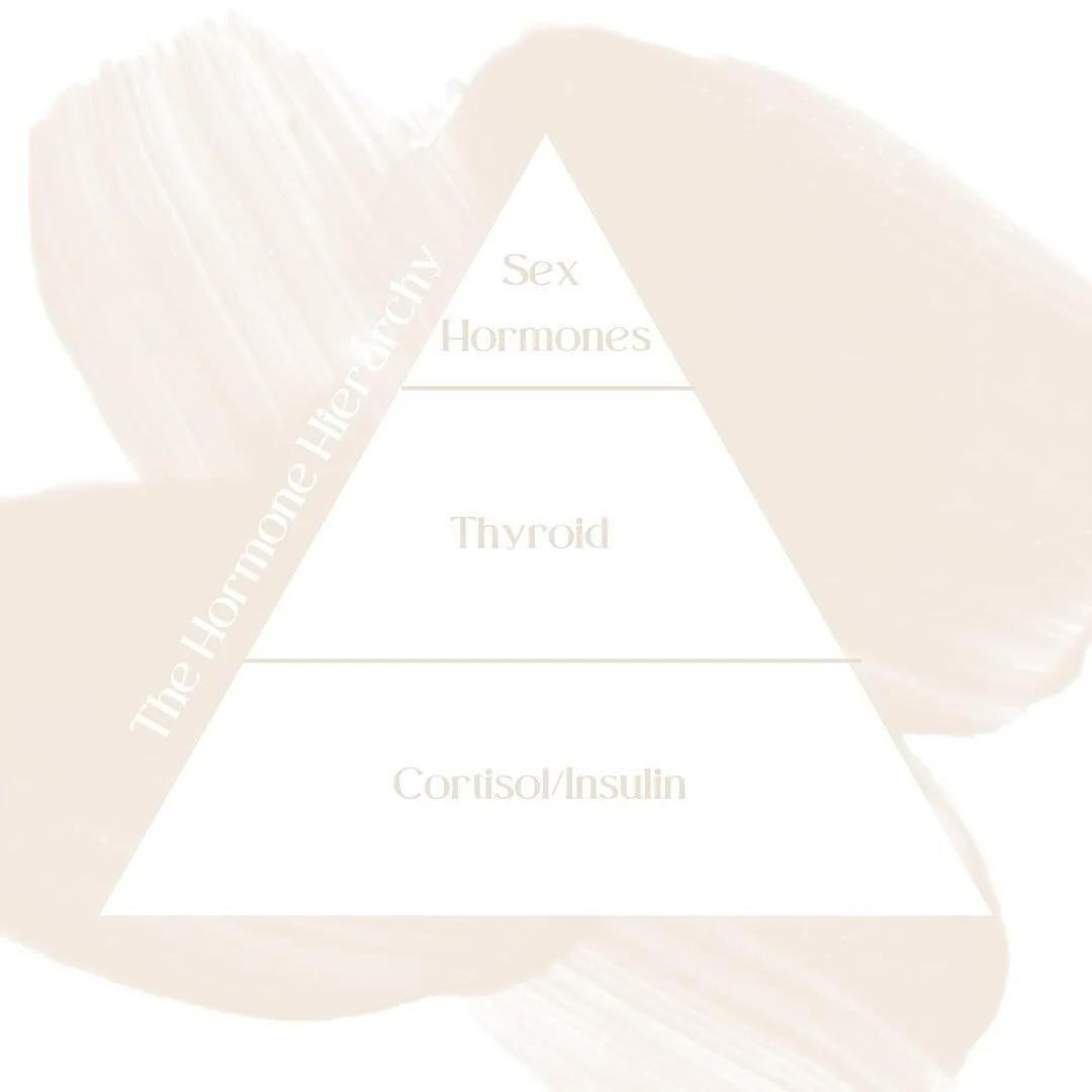 The key to feeling good with your hormones is to make sure you are addressing the foundations first. 

Here comes the hormone hierarchy to help you understand. If you want to think of the hormone cascade as a domino effect. 

The first domino (Cortis