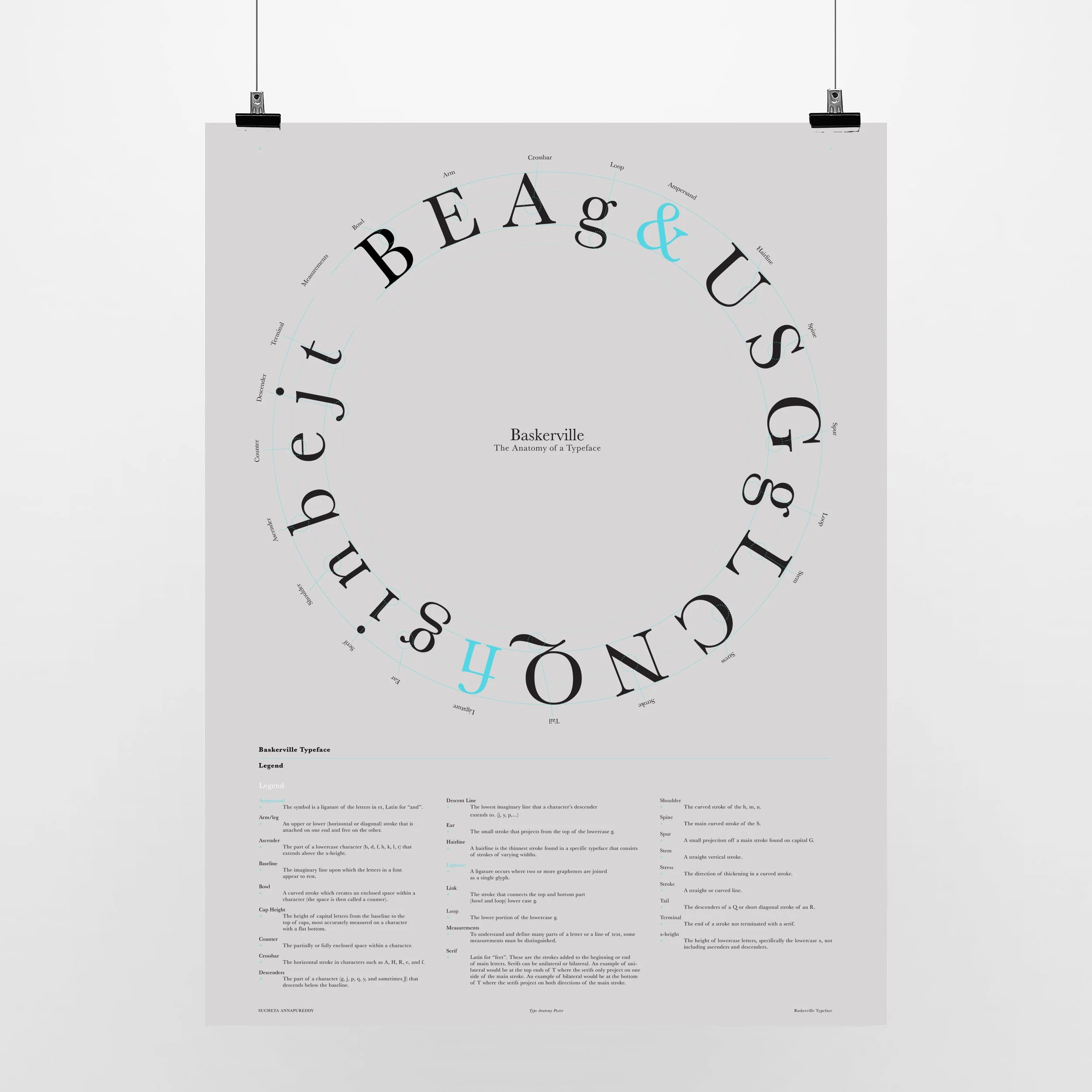 1FullAnatomyPoster.jpg