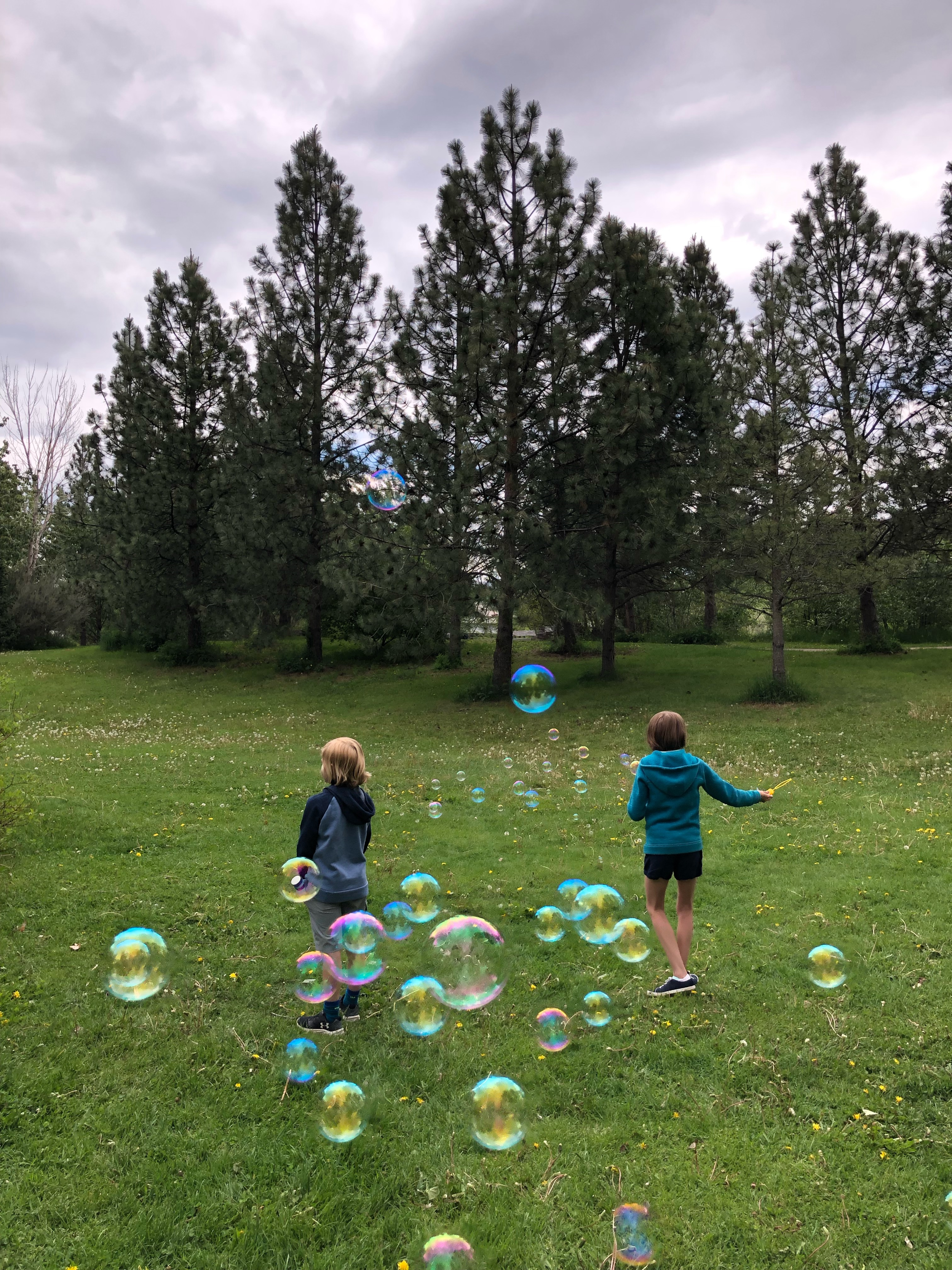 Virtual Kid's Corner - January