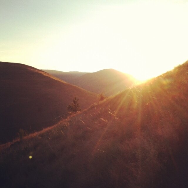 RECHARGE: Taking Compassion Resilience to the Next Level