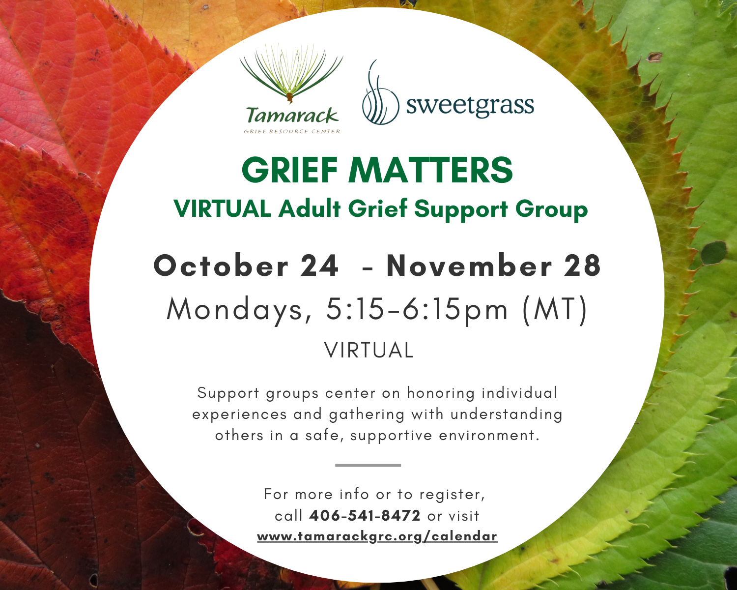 Grief Matters Adult Support Group (VIRTUAL)