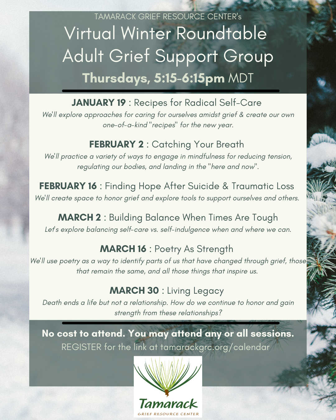 Winter Roundtable Adult Grief Support Group (VIRTUAL)