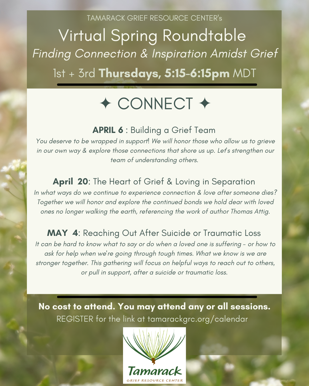 Spring Roundtable Series (VIRTUAL)