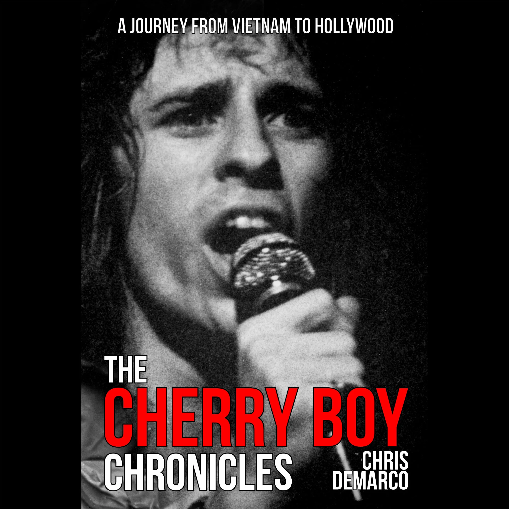 The Cherryboy Chronicles square cover.jpeg