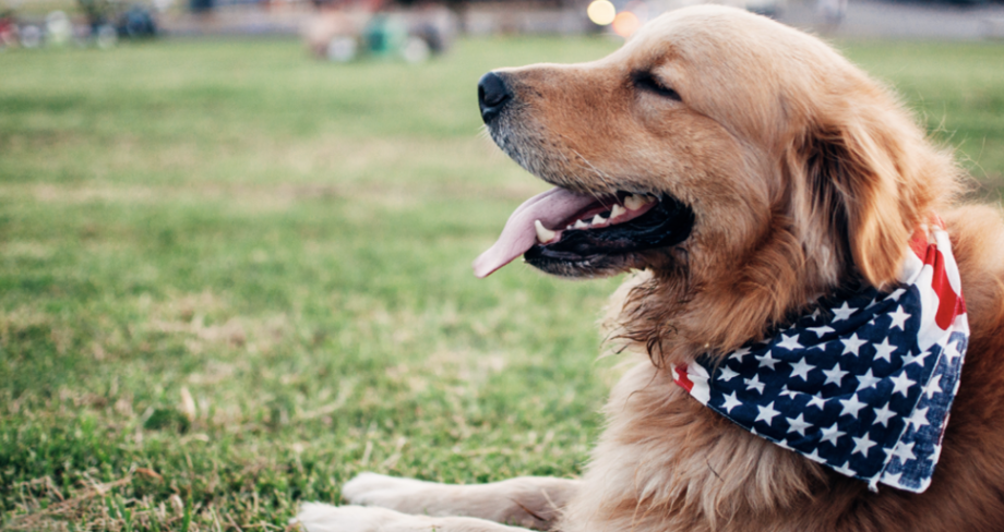 It’s a Grand Old Flag