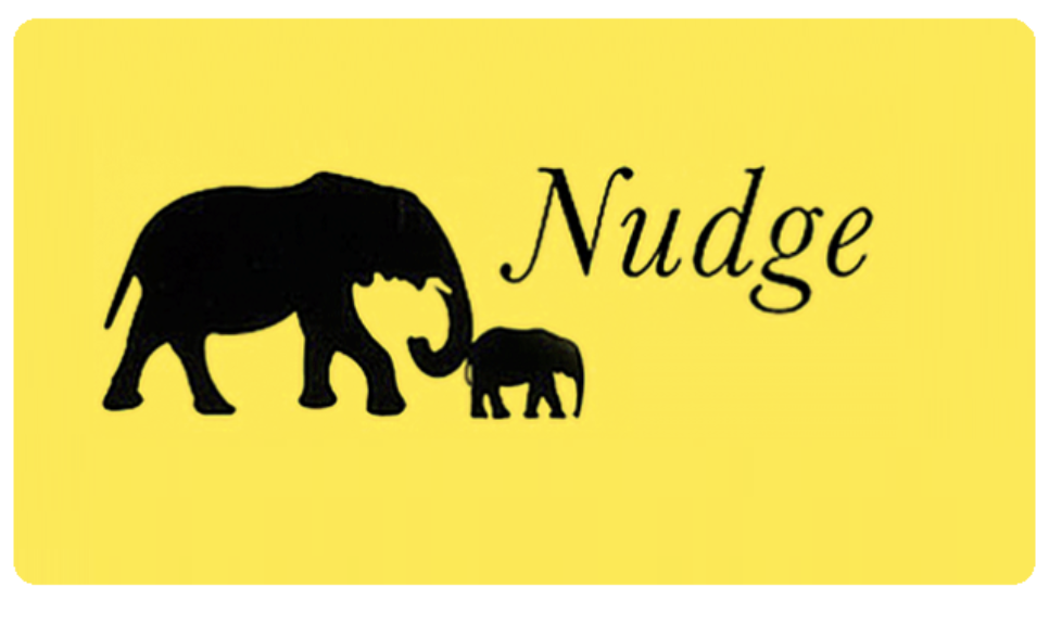 In search of the perfect nudge