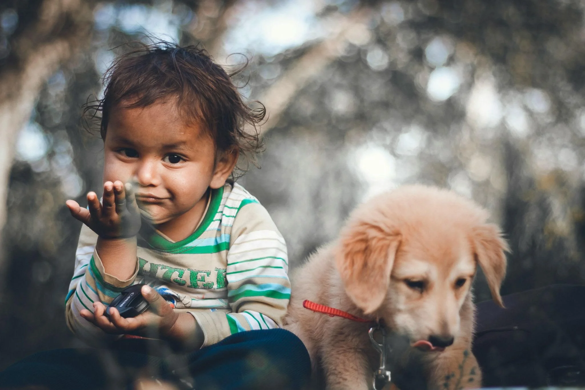 Pets > kids