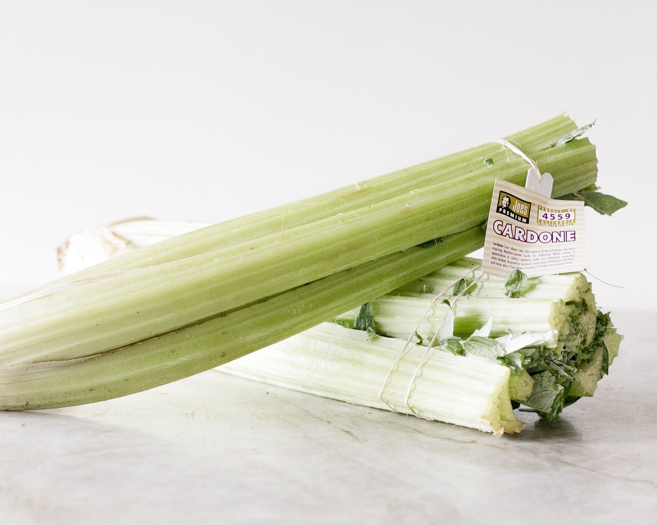 2019.11.14+Winter+Chicory+Cardone+Verona+Puntarelle+Bianc+%2833+of+81%29.jpg