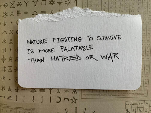 1-nature-fighting-to-survive.jpg