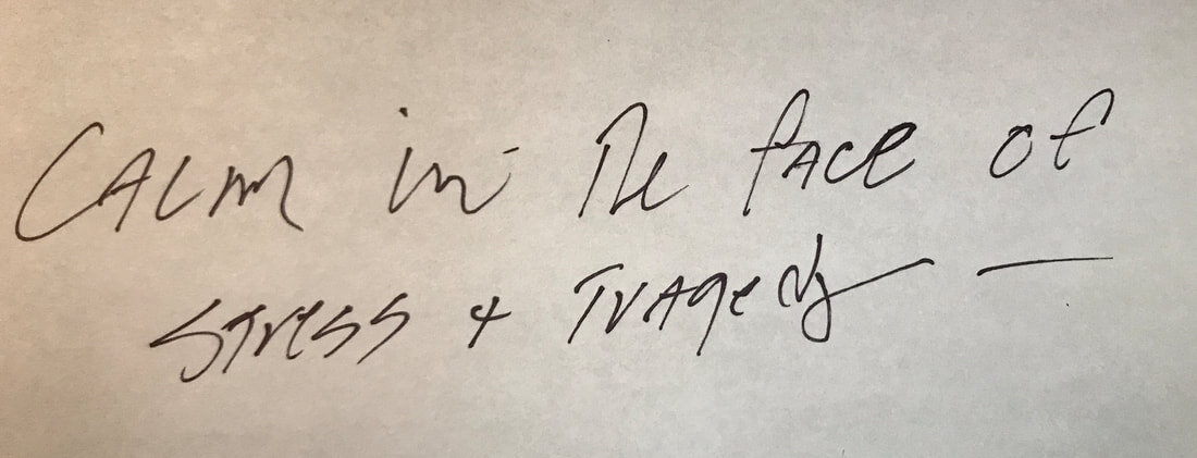 1-calm-in-the-face-of-stress-and-tragedy_orig.jpg